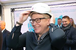 I. Šimonytė kritikuoja G. Nausėdos siūlymus pensijų kaupimui nesulaukus KT verdikto: rinkimai nelaukia