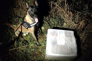 Dvimetis belgų aviganis Jupis susekė baltarusiškų cigarečių „verslininką“