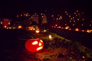 Birštonas taps švytinčių moliūgų kurortu: laukia kūrybinės dirbtuvės, pramogos ir „oranžinis“ meniu