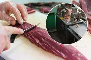 Tokiomis sąlygomis gamino mėsos pusgaminius: pelėsis ir graužikų išmatos – dar ne viskas