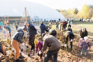 Vilniuje – rudeninė krūmų sodinimo talka, pasodinta apie 3000 krūmų