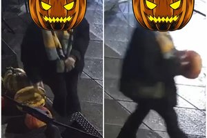 Kauno restorano savininkai į policiją nesikreipė, tačiau merginos poelgį paviešino, kad pasimokytų ir kiti: „Skanaus“