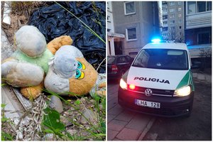Vilniaus policija pradėjo tyrimą dėl vaiko pagrobimo: tėvas anglas negrąžino 5-mečio sūnaus mamai