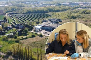 Atsakė, kokia pakuotė šiuo metu tvariausia ir kur plastikas kol kas nepakeičiamas