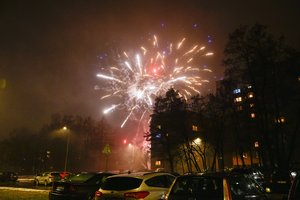 Seimas svarstys siūlymą drausti fejerverkų prekybą degalinėse, keisti prekybos internetu tvarką