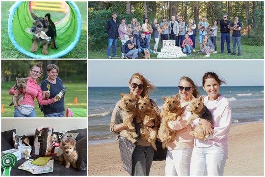 Palangoje rinkosi retos šunų veislės gerbėjai iš iš užsienio: Lietuvoje toks suvažiavimas – pirmas