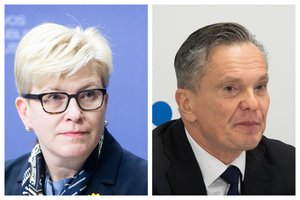 I. Šmonytė tikina, kad Vyriausybė nepriklausomo tyrimo dėl E. Bajarūno nesiims: tokio žanro nėra ir nebus