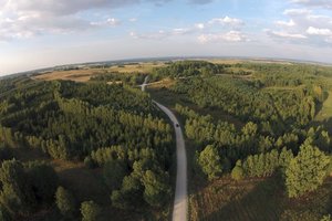 Išmanus miškų sektoriaus valdymas: Lietuvos mokslininkų įgyvendinamas tarptautinis projektas įgalins skaitmenines technologijas