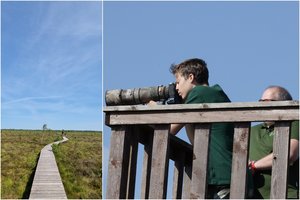 Ypatinga vieta, kurią būtina aplankyti gamtos mylėtojams: auga vabzdžiais mintantis augalas, o gyvūnų – visa gausybė