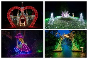 VU Botanikos sode magiškas ir kerintis „Alisos stebuklų šalyje“ pasaulis