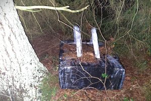 Pasieniečiams įkliuvo du jau pažįstami kontrabandinių cigarečių nešikai