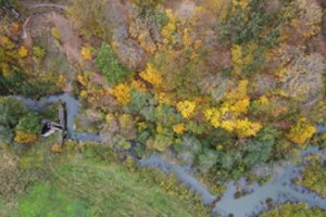 JT perspėja dėl klimato kaitos keliamo pavojaus sveikatai