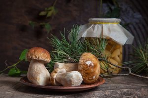 Baravykų ir kitų grybų nauda stebina: mokslas daug vilčių sieja su apsauga nuo vienos rūšies vėžio