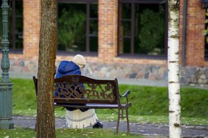 Pokyčių dėl pensijos kaupimo kol kas nebus: vieni seimūnai į balsavimą vėlavo, kiti – susirgo