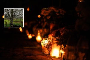 Šiluvoje – nauja speciali kapavietė: čia atguls ypatingai skaudaus likimo kūdikiai 