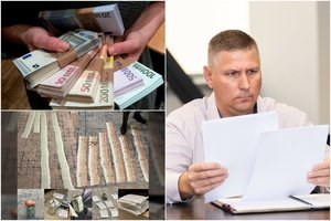 Teismas nesiunčia Viliaus Šiliausko už grotų, jam skirta bauda