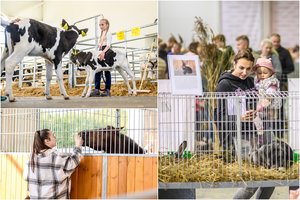 Vienai specializuotai gyvulininkystės parodai pasibaigus jau planuojama kita