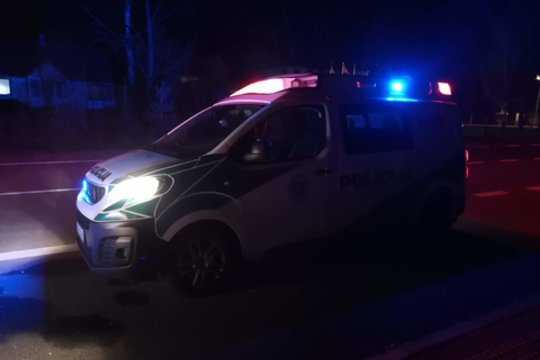 Penktas kartas nemelavo: motiną žiauriai sumušęs sūnus keliauja už grotų