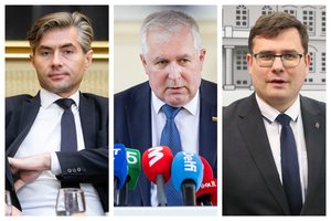 Prezidentūra įžvelgia įtampas tarp A. Anušausko ir L. Kasčiūno: prezidento darbui tai netrukdo