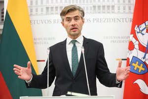 K. Budrys teigia, kad siūlymas kurti komendantūras yra „svarstytinas ir geras sumanymas“: tai išjudins visą mašiną