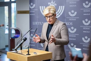I. Šimonytė nesako, kada bus svarstomas NT mokesčio klausimas
