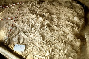 Aptiko masinę 5000 metų senumo karių kapavietę