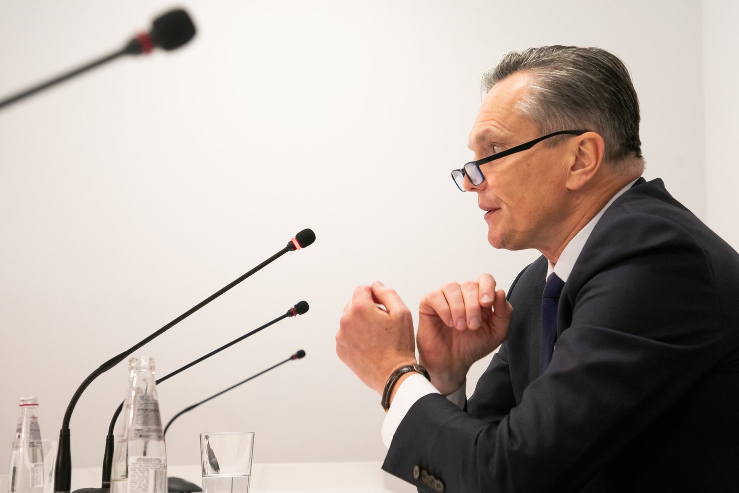 Eitvydas Bajarūnas.<br>D. Labučio (ELTA)