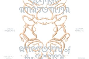 Sostinės „Vartų“ galerijoje atidaroma intriguojanti paroda „Fetišo anatomija“