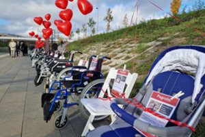 „Pagrobti iš Izraelio“ akcija Vilniuje