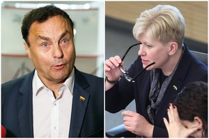 I. Šimonytė apie seksualinio švietimo draudimą: būtų didesnė nauda uždrausti nepilnamečiams rodyti P. Gražulį