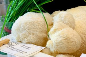 Lietuvoje auginami neįprasti grybai stebina ne tik skoniu