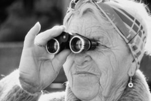 Dianos ir Kornelijaus Matuzevičių kinas – ypatinga atmosfera, lietuviškos tapatybės formavimas ir peizažo reikšmė