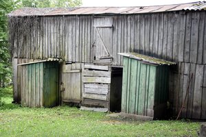 Čia Kalėdų laukiama kaip stebuklo – sunku patikėti, kad žmonės dar gyvena tokiomis sąlygomis