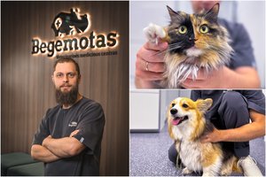 Kastracija ir sterilizacija gyvūnams. Kas, kodėl, kada ir kaip?