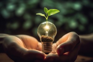 Testas. Ar pavyks atsakyti bent į 17 iš 20 klausimų apie tvarumą ir aplinką?