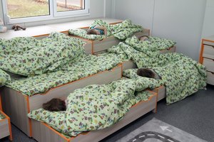 Vaikų neurologė apie priverstinį pietų miegą darželiuose: tik trečdaliui penkiamečių jo reikia