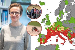 Ypač pavojingų virusų plitimą Europoje stebinti epidemiologė įspėja: nežinia, kas laukia Lietuvos