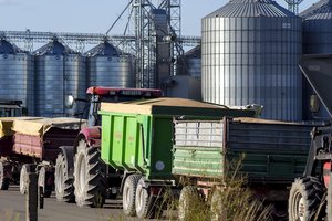 Lietuva geba pati apsirūpinti maistu – pagaminame daugiau, nei suvartojame