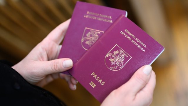Mano, kad būti ES piliečiu – patogu: D. Žalimas įvertino daugybinės pilietybės poveikį Lietuvai