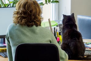 A. Bartkus apie situaciją ekonomikoje: džiūgauti nėra ko – padėtis ne rožinė