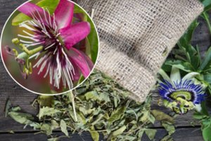 Pasifloros: kaip jas teisingai prižiūrėti, kad aromatingi žiedai džiugintų ištisus metus