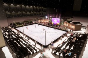 Išsižiosite: paskelbė, kiek kainuos kelioms minutėms aplankyti Kalėdų senelio rezidenciją