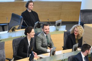 V. Čmilytė-Nielsen: „laisviečiai“ kaišiodami pagaliukus išlieka dėmesio centre