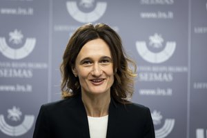 V. Čmilytė-Nielsen apie M. Maldeikio siūlymą: bandoma „įgelti“ G. Nausėdai