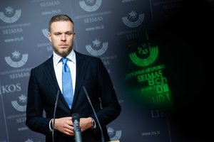 G. Landsbergis palankiai vertina iniciatyvą dėl Turniškių: valstybė dabar moka du kartus