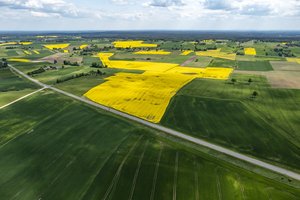 Nustatytos aiškesnės valstybinės žemės perdavimo savivaldybėms taisyklės: į ką verta atkreipti dėmesį