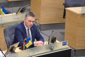 V. Bakas sako, kad prezidento pareiškimai apie VSD pranešėjo komisiją yra klaidinantys: paragino paskaityti įstatymus