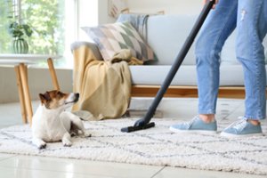 Vienas teisingas pasirinkimas užrikrins tvarką namuose, net jei turite augintinių: ir išlaidauti papildomai neteks