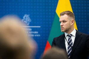 G. Landsbergis: vertindamas VSD pranešėjo komisijos darbą, G. Nausėda yra šiek tiek šališkas