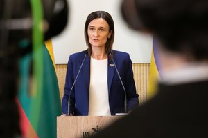 V. Čmilytė-Nielsen ragina valstybės vadovus susilaikyti nuo komentarų apie parlamentinę VSD pranešėjo tyrimo komisiją